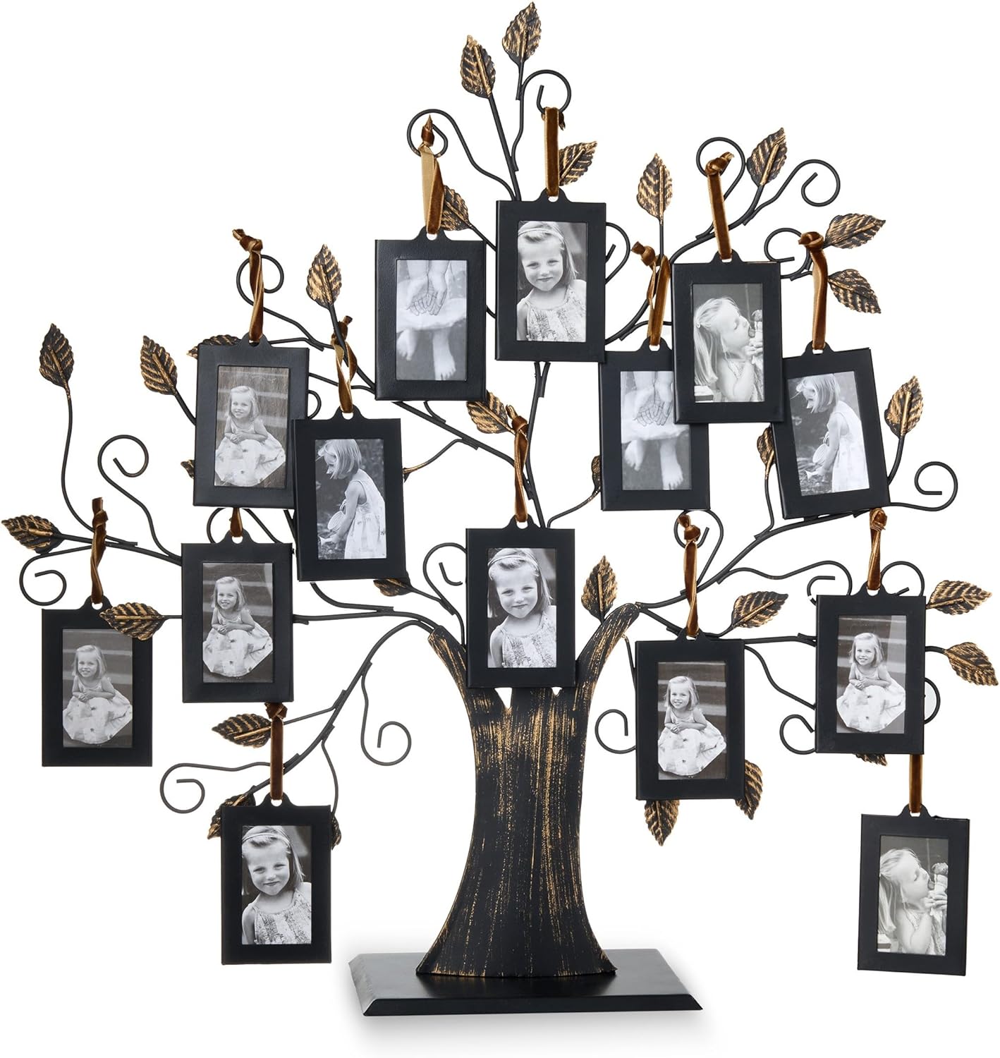 81V9x8T5auL._AC_SL1500_Family Tree Picture Frame with 14 Hanging Picture Frames