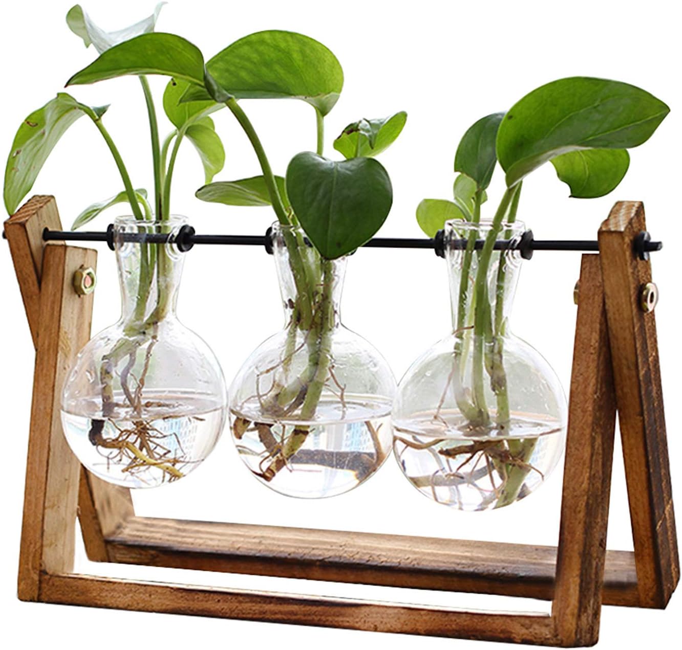 XXXFLOWER Plant Terrarium with Wooden Stand, Air Planter Bulb Glass Vase Metal Swivel Holder